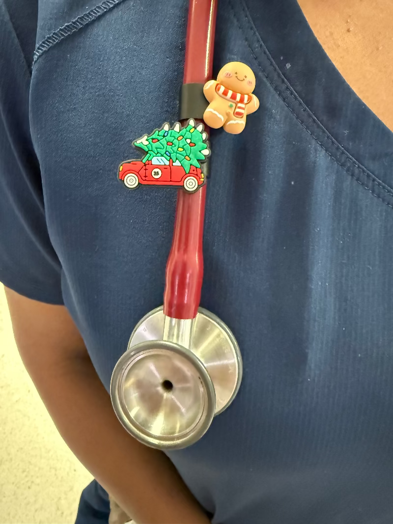 christmas stethocharms